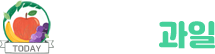 오늘의 과일